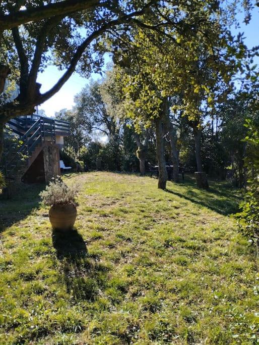 Casa De Camp Prop De La Costa Brava Villa Romanyá de la Selva Eksteriør bilde